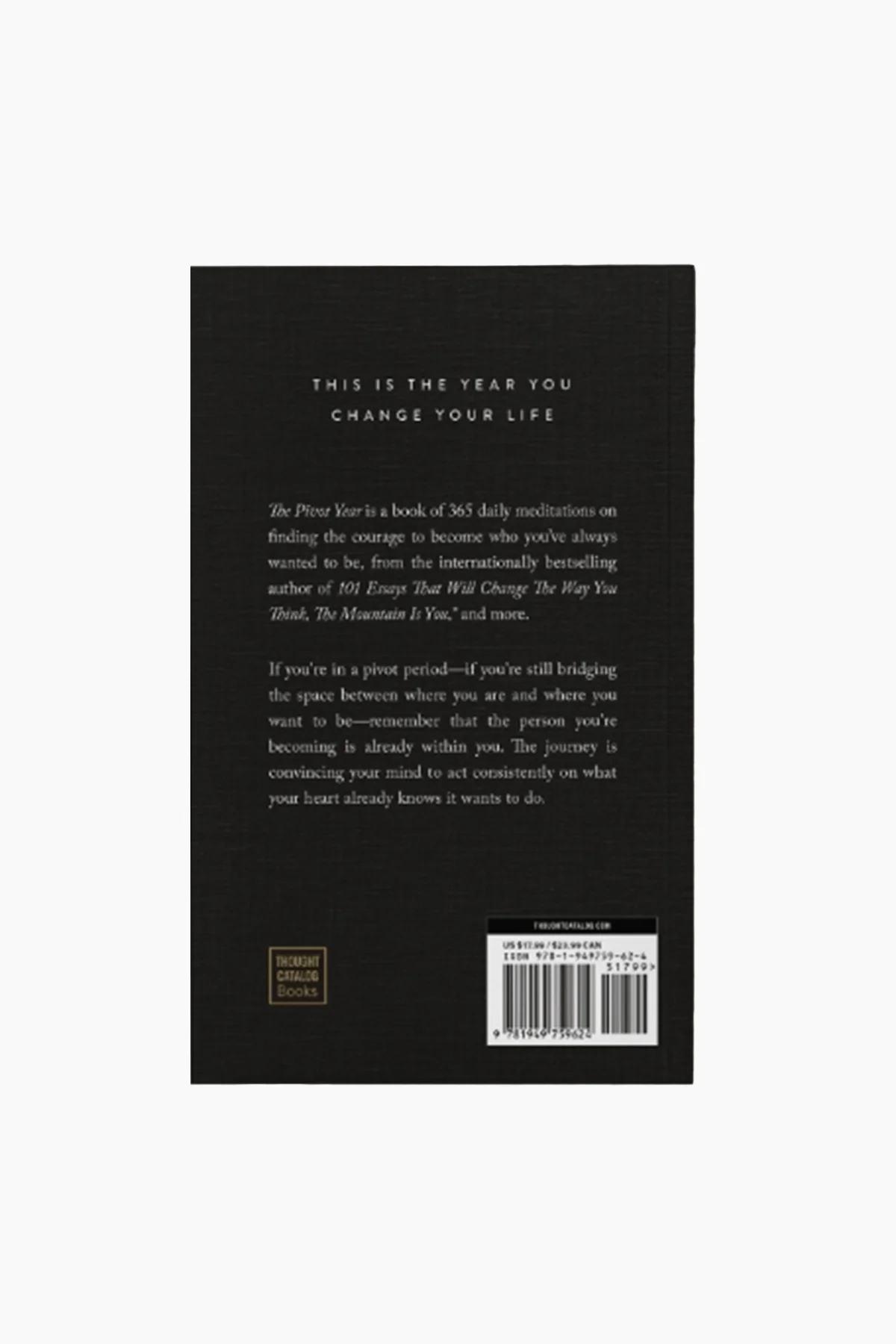 The Pivot Year - Image 2
